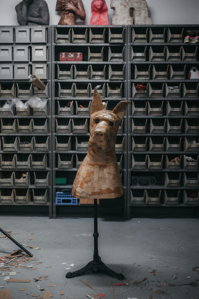 Danés número siete "La compañía" de frente. Busto de cartón. Orgaz.