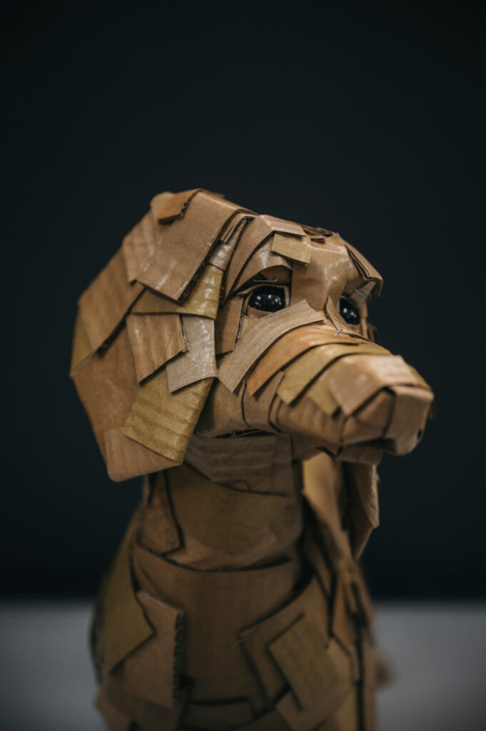 Detalle de la cara del teckel número siete kraft. Escultura de cartón. Orgaz