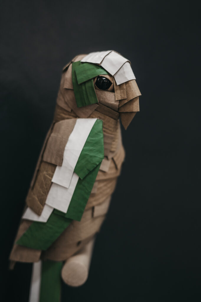 Detalle del guacamayo en verde y blanco de perfil. Escultura de cartón. Orgaz