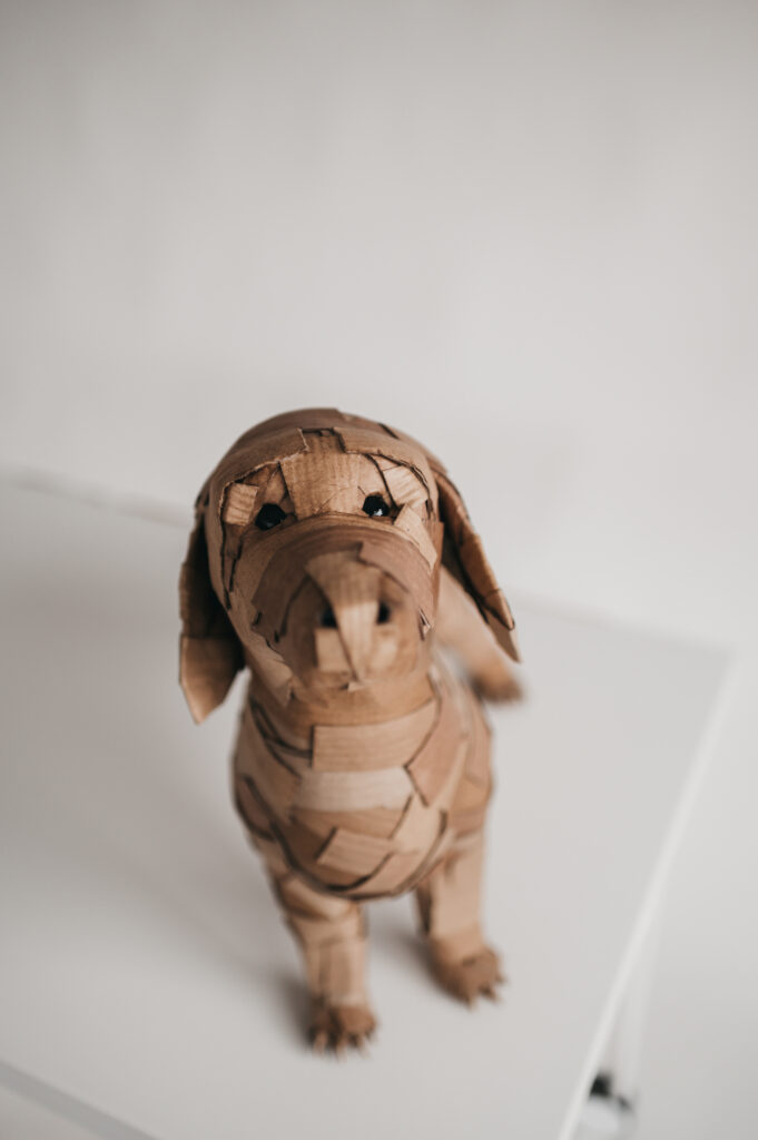 Detalle de la cara del primer teckel. Escultura de cartón. Orgaz